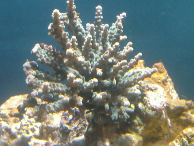 2011-02-25 20.57.44.jpg