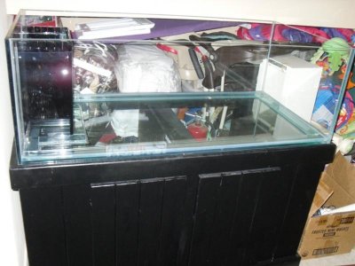 New Tank 1.jpg