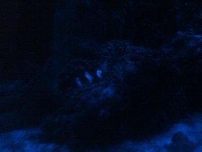 2011-02-26 02.16.01.jpg