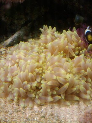 2009-10-27 08.47.15.jpg