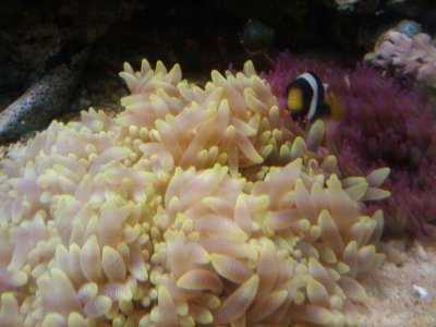 2009-10-27 08.47.27.jpg