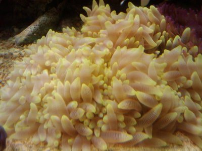 2009-10-27 08.47.47.jpg