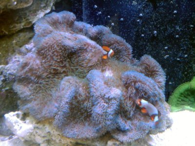 2009-11-12 07.59.27.jpg