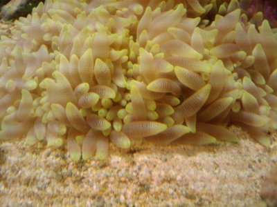 2009-10-27 08.47.52.jpg