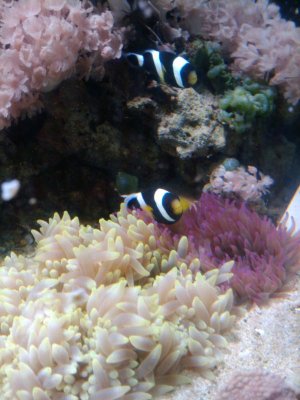 2009-10-27 08.49.23.jpg