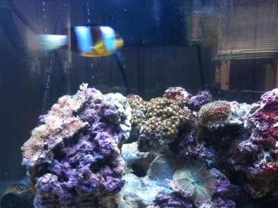 summer stuff 188.jpg