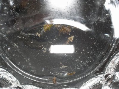 M0010431 (Small).JPG