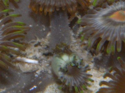 M0010425 (Small).JPG