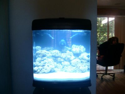 Picture 220.jpg