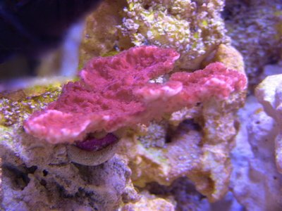 IMG_0496.jpg