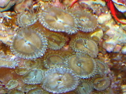 DSC03466.jpg
