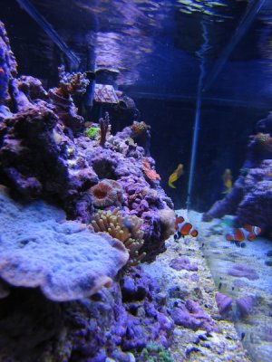 111409_1643.jpg