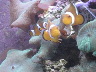 IMG_4742.jpg