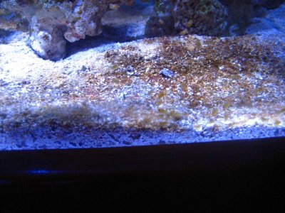 IMG_3074.jpg