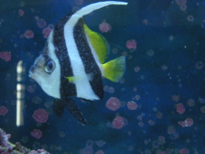 Camera Pics 3-8-11 247.jpg