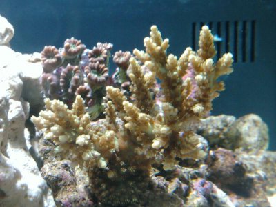 2011-02-20 13.28.47.jpg