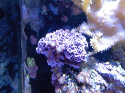 0308111646-01.jpg