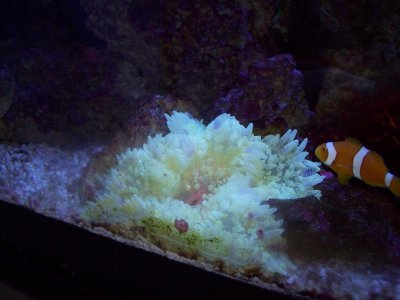 amber pic's and nem 022.jpg