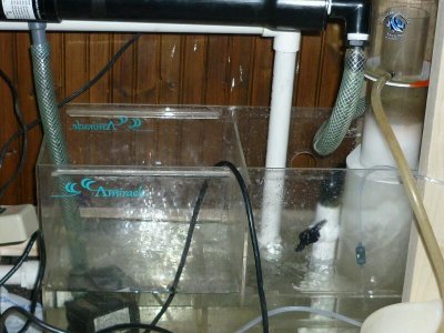 sump1.jpg