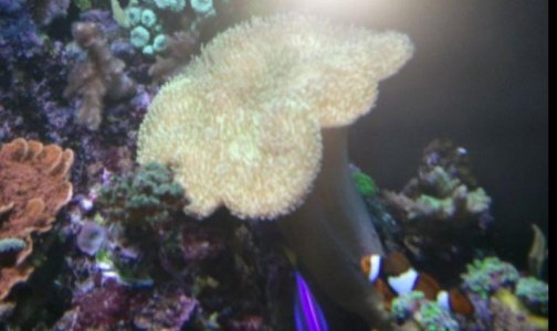 3-10-2011 8-26-48 PM.jpg