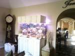 fish tank22.jpg