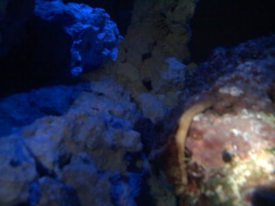 20110311000712[1].jpg
