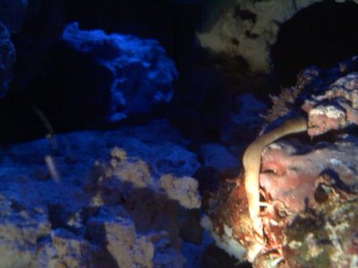 20110311000837[1].jpg