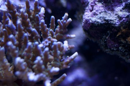 Acro_030211_0109.jpg