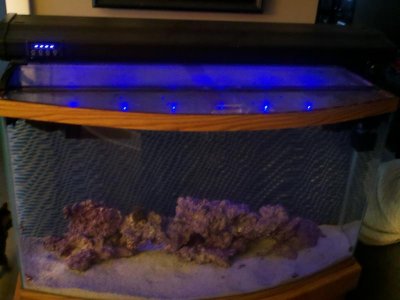 FTS.jpg FTS.jpg