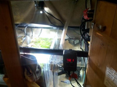 Sump1.jpg Sump1.jpg
