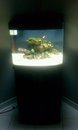 tank 1.jpg