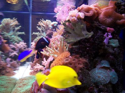 100_2376.jpg