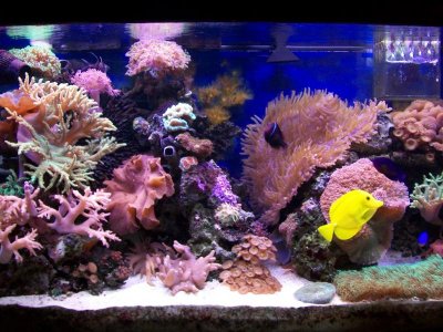 100_2377.jpg