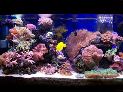 100_2378.jpg