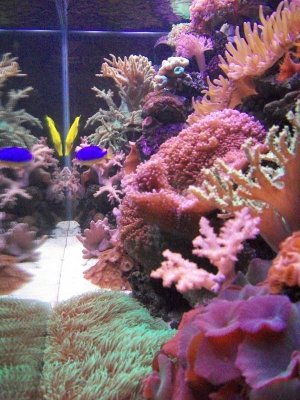 100_2370.jpg