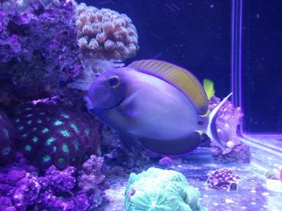 2011-03-12 16.45.27.jpg