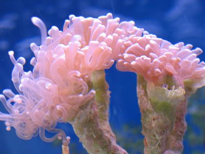 IMG_1584 (Medium).JPG