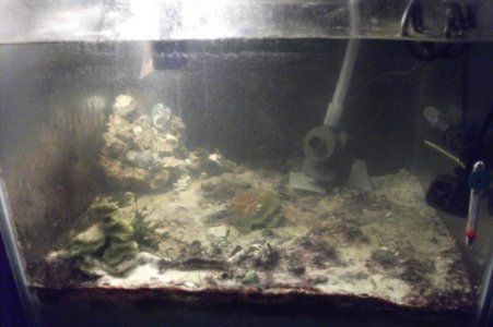 Sump03_11.jpg