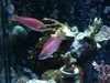 8linewrasse029.jpg