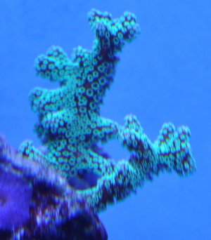 DSC_0011123.jpg