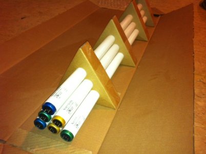 photo.JPG