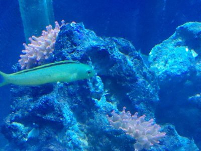 IMG_20110318_203823.jpg