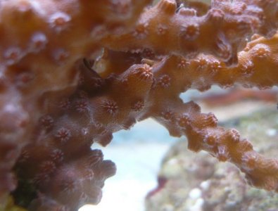 unknown1.jpg