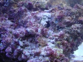 DSC06744_2.jpeg