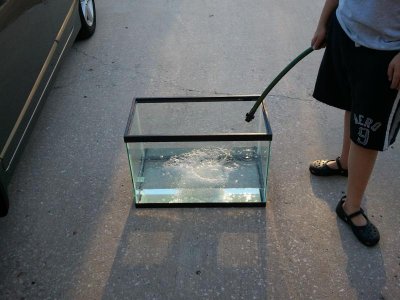 2011-03-19 18.49.21.jpg