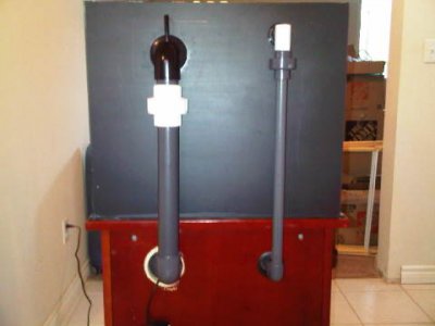 IMG00143-20110407-1758.jpg