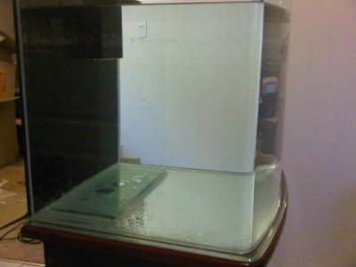 IMG00149-20110407-1801.jpg