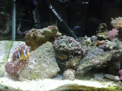 2011-02-25 20.27.54.jpg