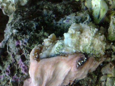 2011-04-07 15.38.32.jpg