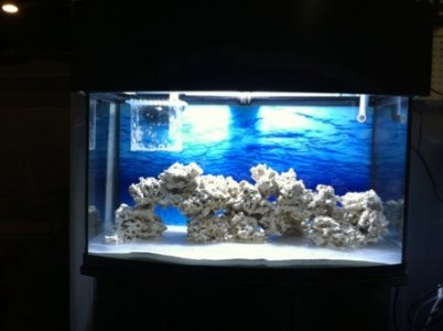 ImageUploadedByTapatalk1302291717.467005.jpg ImageUploadedByTapatalk1302291717.467005.jpg